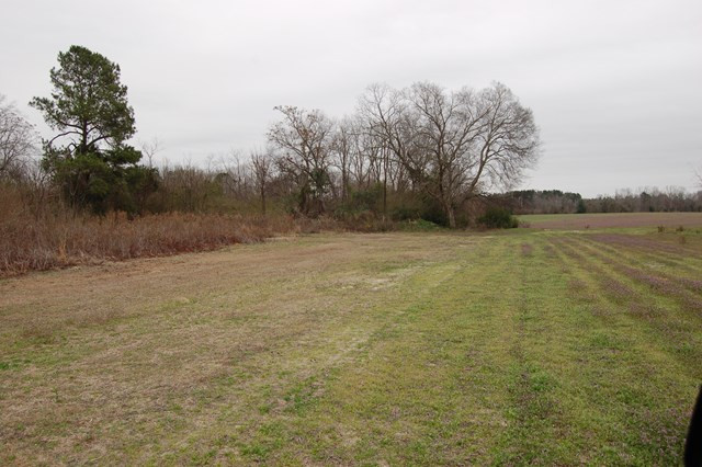 Cordova Road Cordova, SC 29039 - Photo 1 of 1 Main View