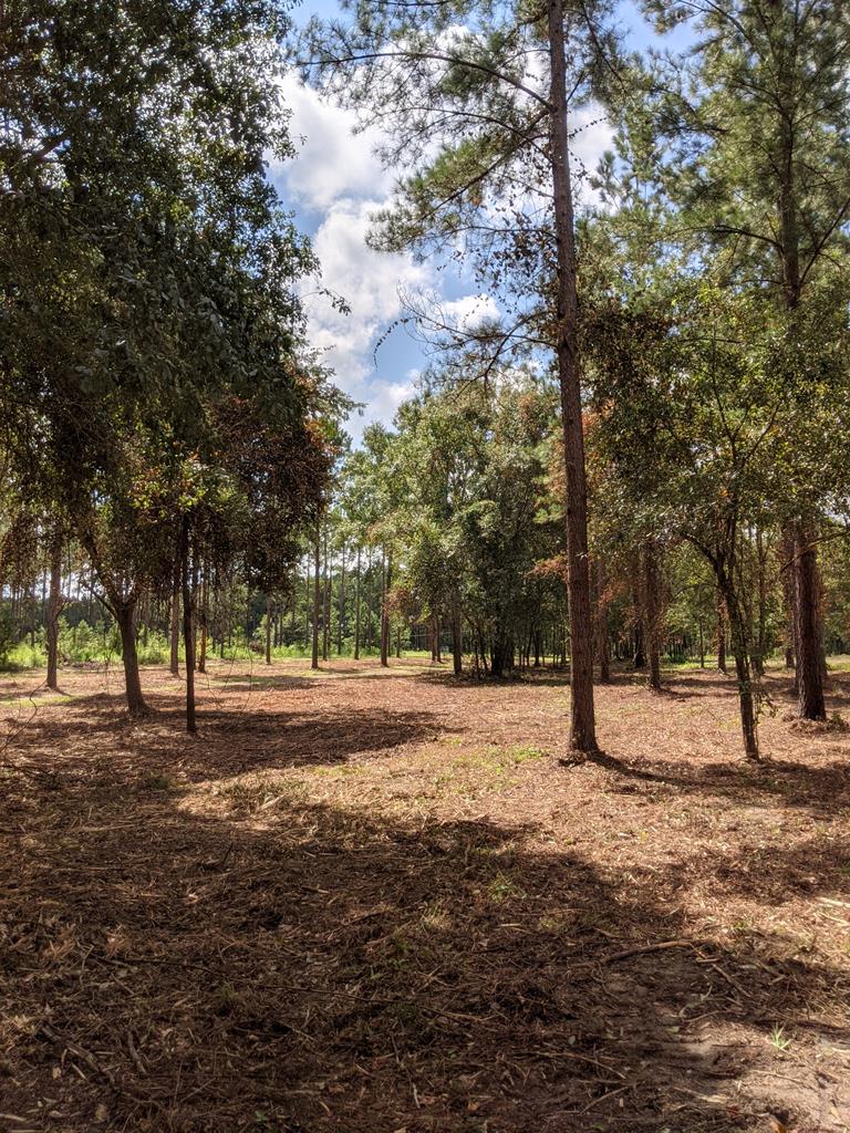 509 Lucy Grade Road Dothan, AL 36301 - Photo 17 of 19