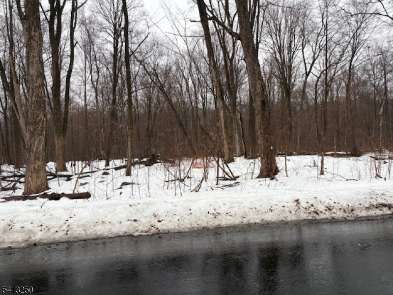 0 School House Road Oak Ridge, NJ 07438 - Photo 1 of 3 a view of snow on the beach