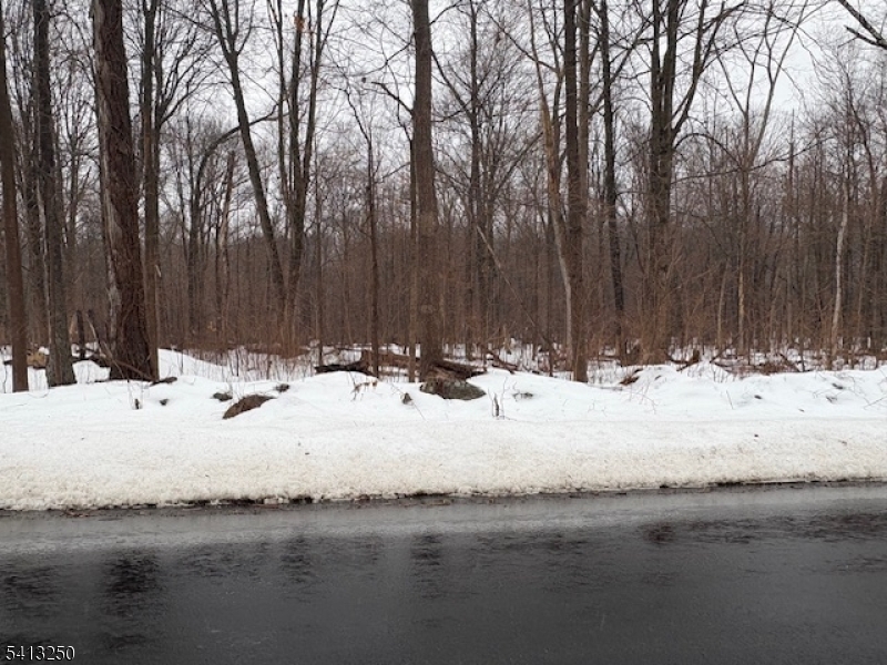0 School House Road Oak Ridge, NJ 07438 - Photo 2 of 3 a view of snow on the road