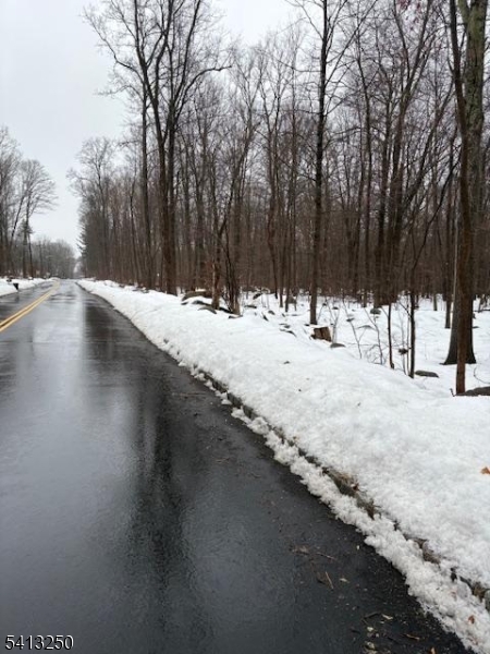 0 School House Road Oak Ridge, NJ 07438 - Photo 3 of 3 a view of a backyard of the house