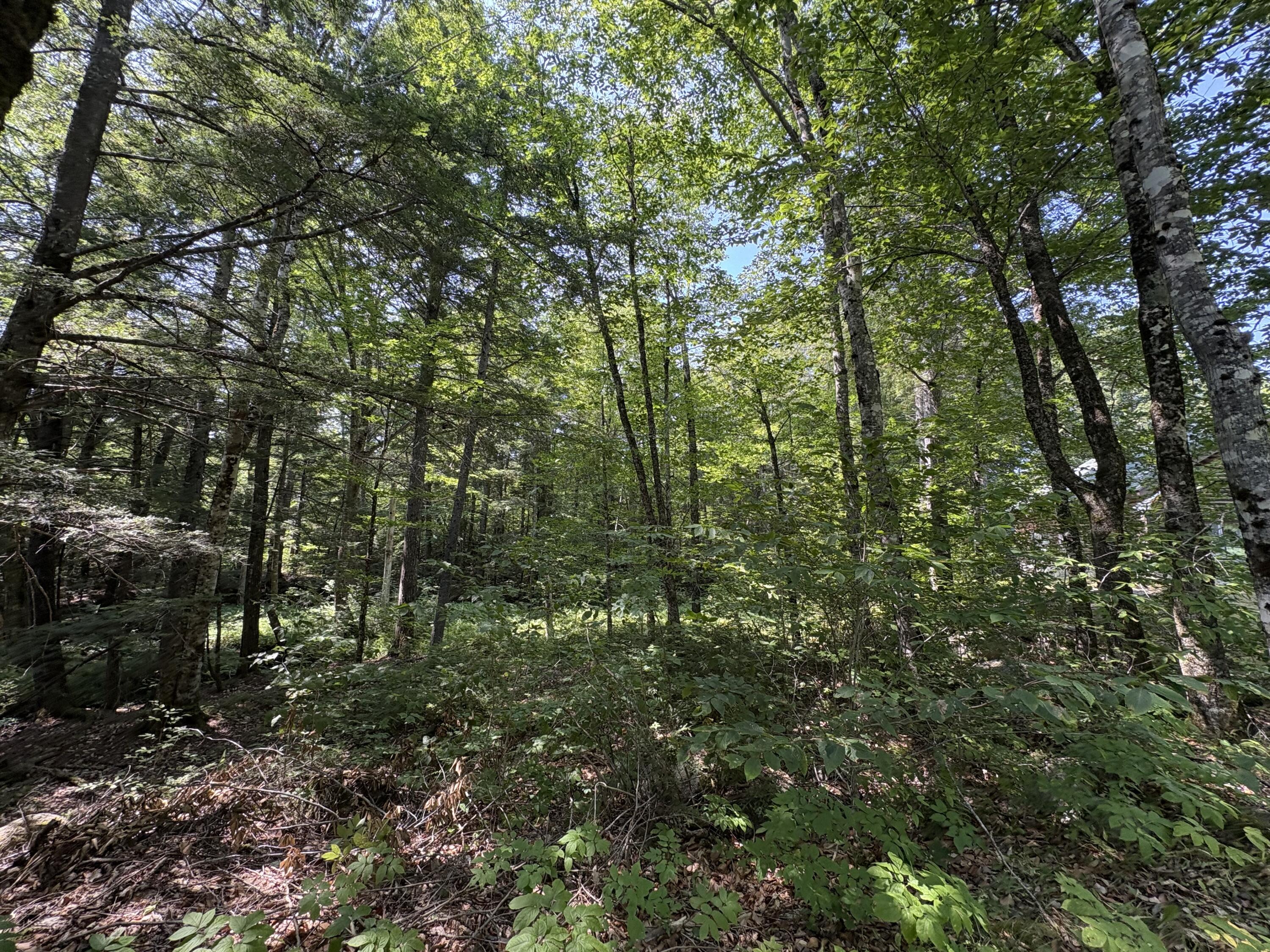 412 Mattmiscontis Road Howland, ME 04448 - Photo 40 of 46 IMG_4120