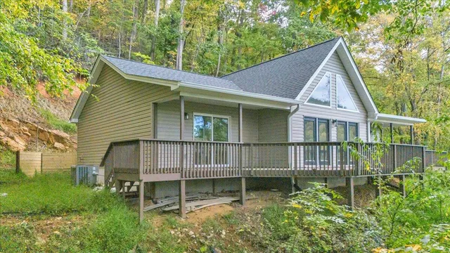 a view of backyard with large trees and plants