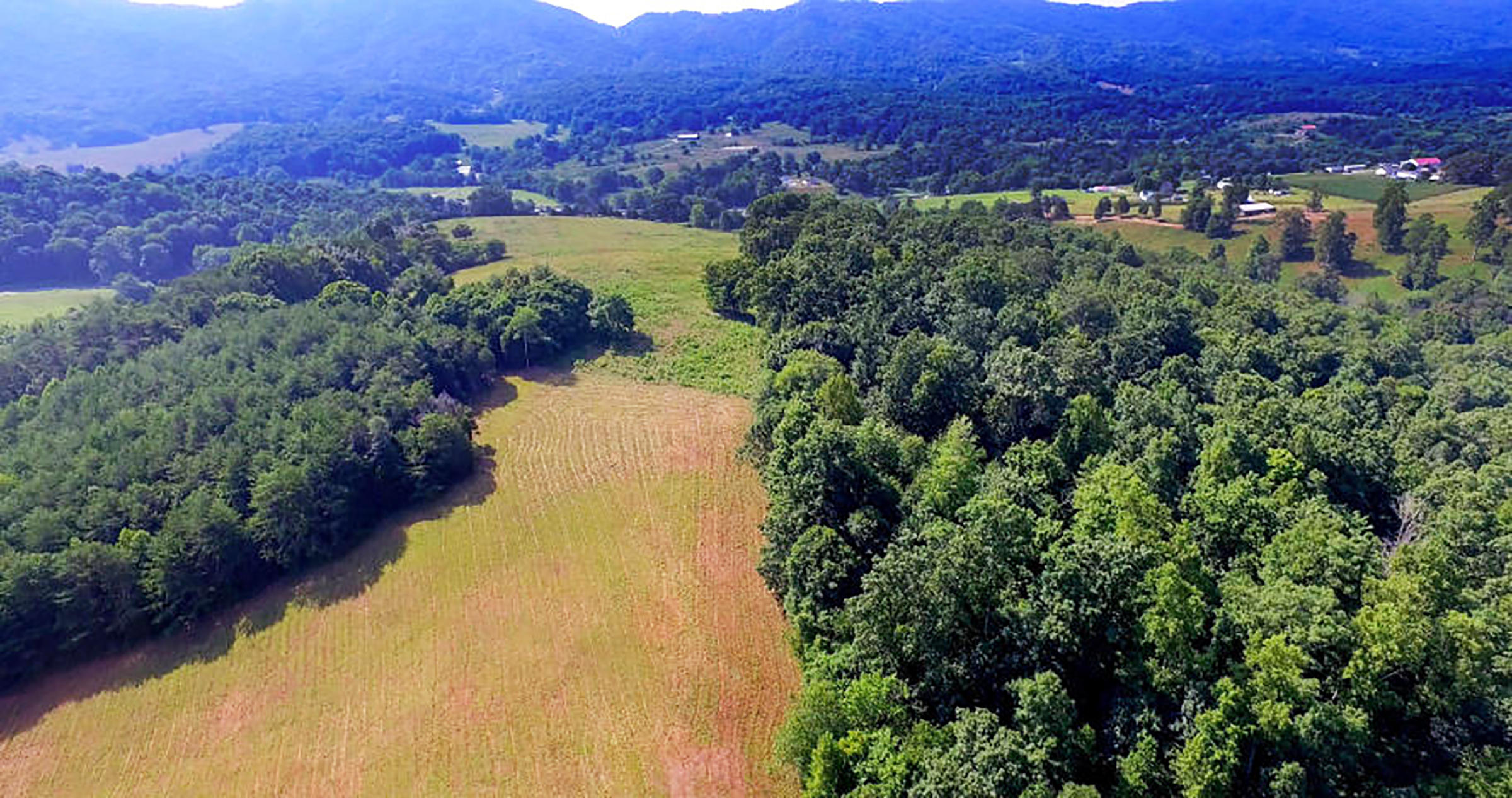 459 Merritt Road Washburn, TN 37888 - Photo 2 of 13 Arial 2
