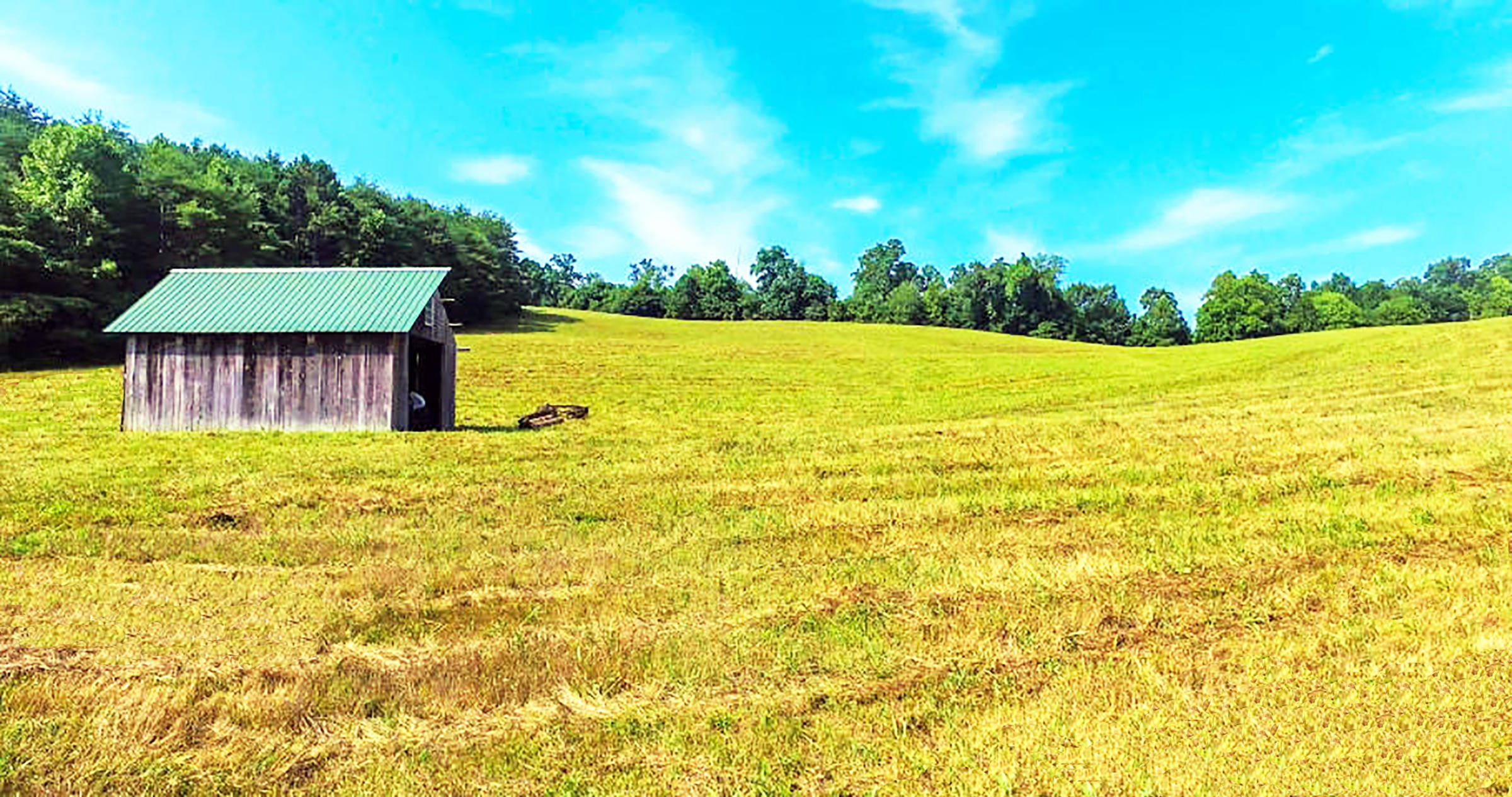 459 Merritt Road Washburn, TN 37888 - Photo 13 of 13 Shed 1