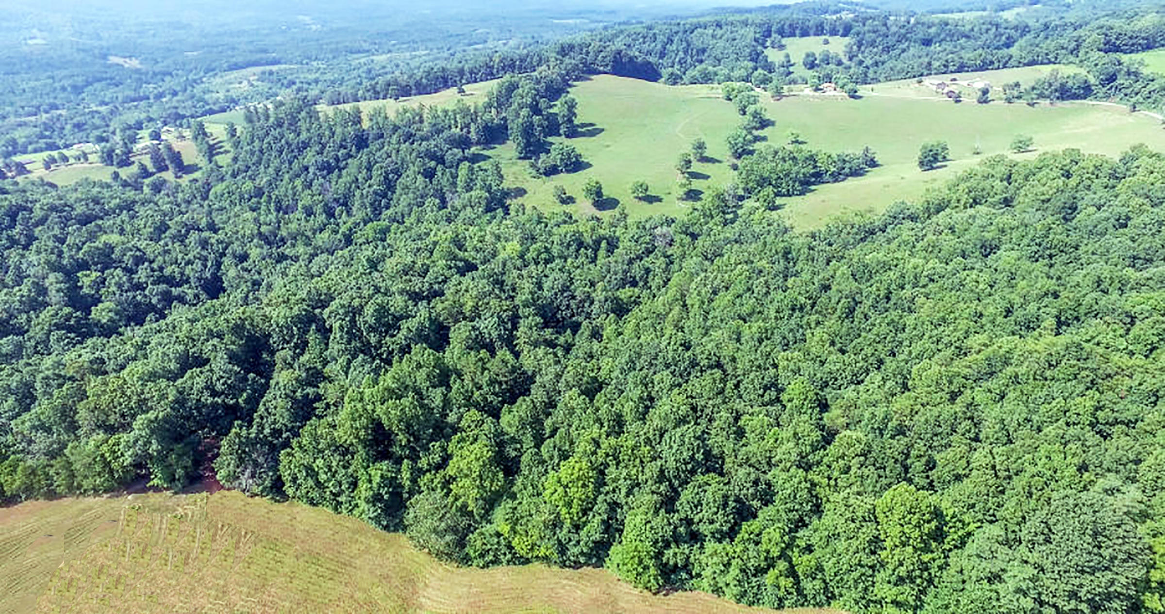 459 Merritt Road Washburn, TN 37888 - Photo 4 of 13 Arial 4