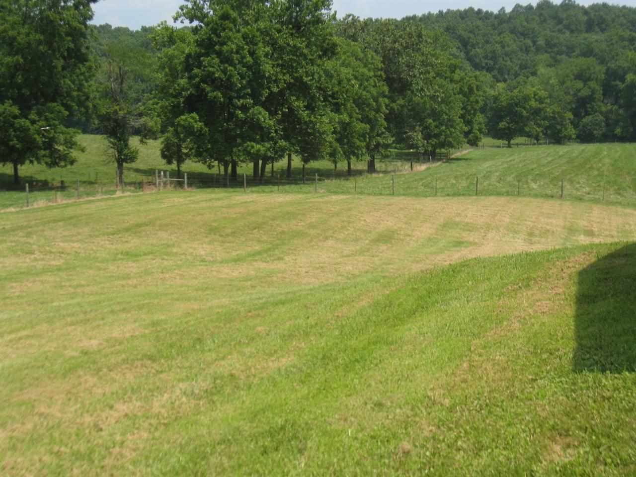 13075 East State Road 54 Road Springville, IN 47462 - Photo 4 of 28