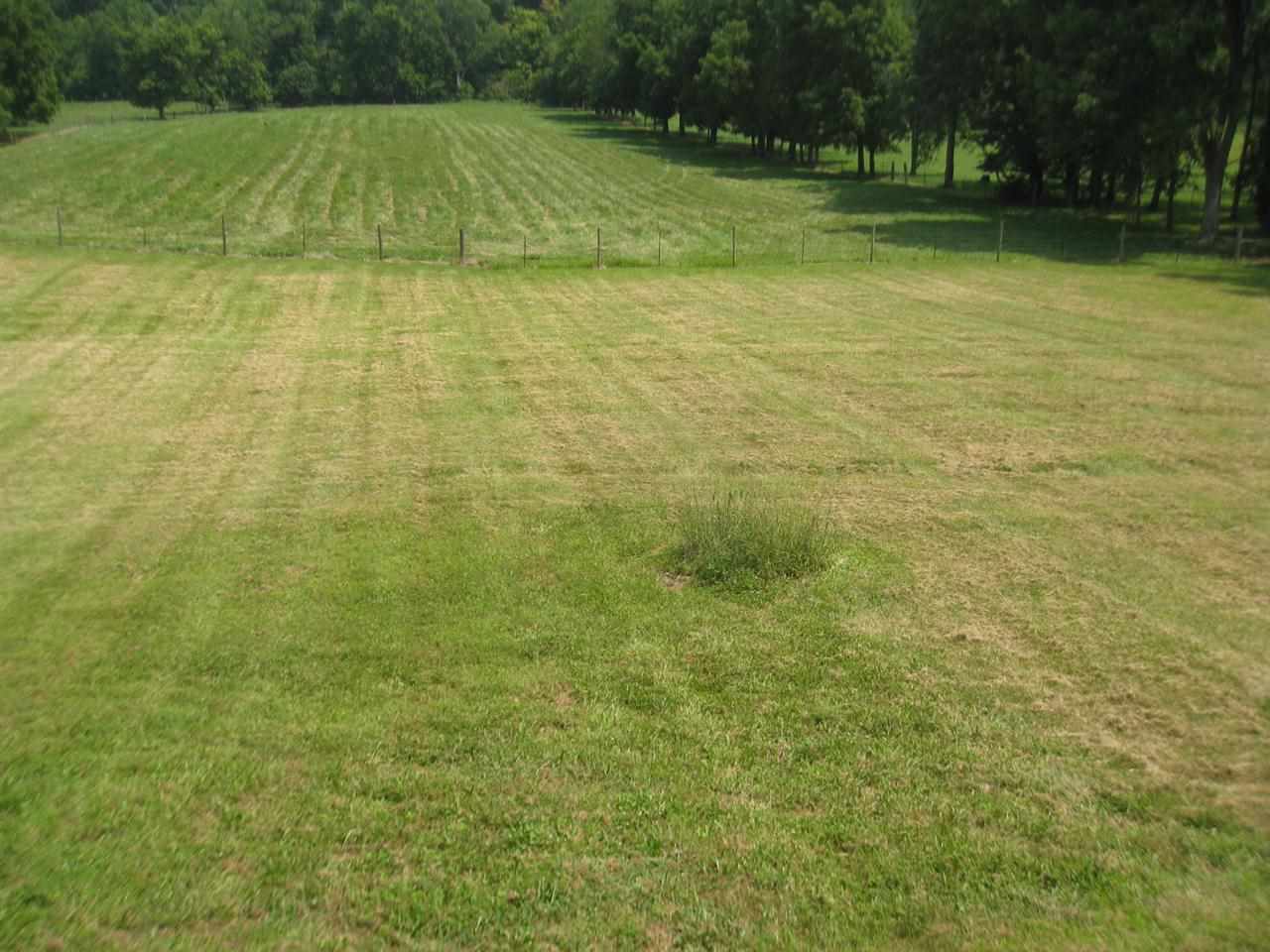 13075 East State Road 54 Road Springville, IN 47462 - Photo 6 of 28