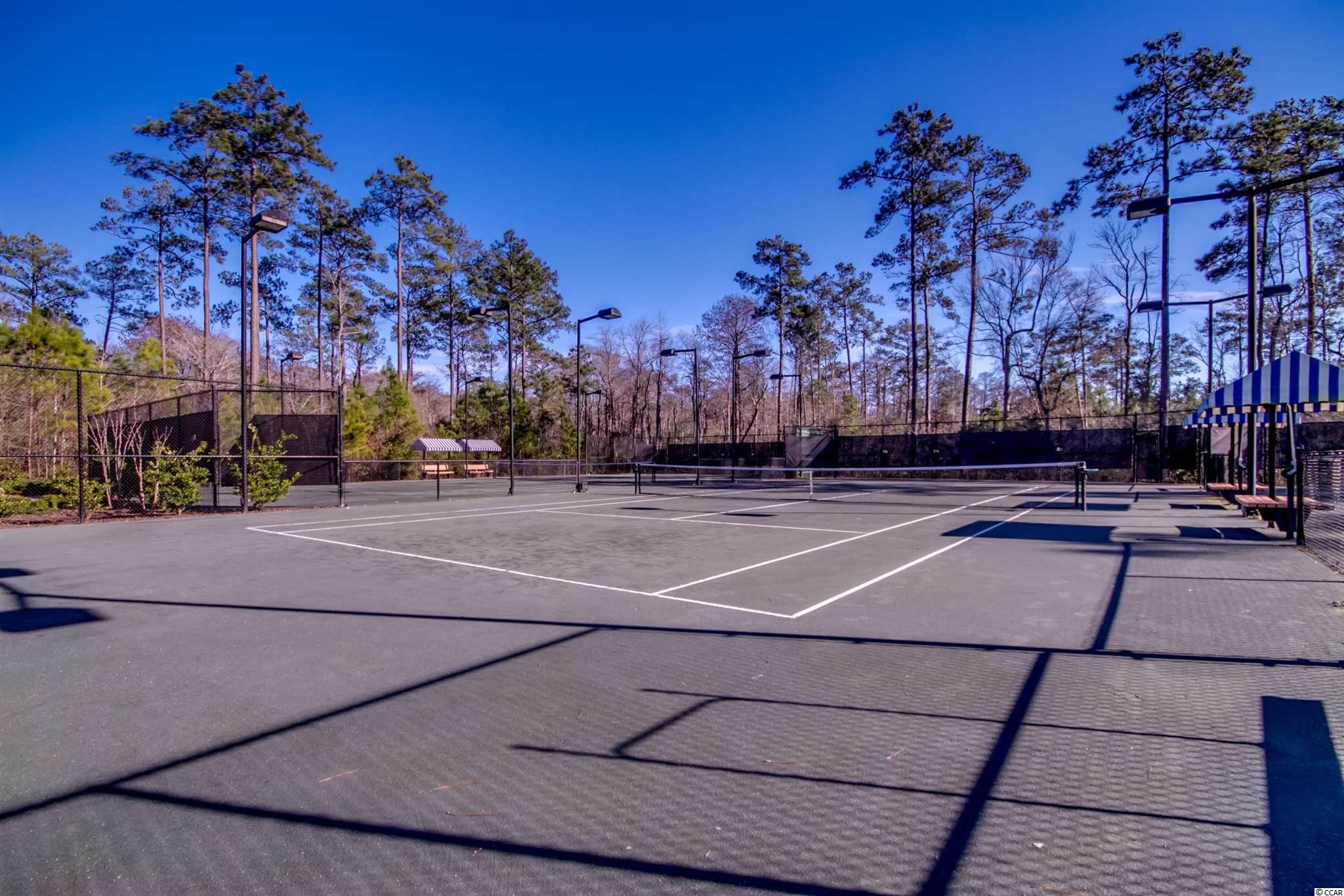 220 Castle Pines Lane Murrells Inlet, SC 29576 - Photo 38 of 40 Gallery Image 38