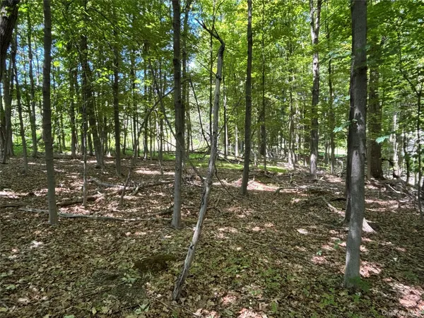 $150,000 | 0 Smith Road, Poughkeepsie, NY 12603