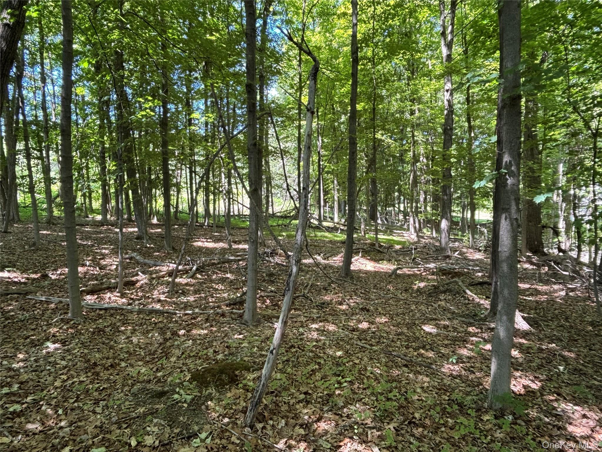 0 Smith Road Poughkeepsie, NY 12603 - Photo 1 of 8