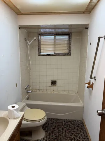 a bathroom with a toilet and a bathtub