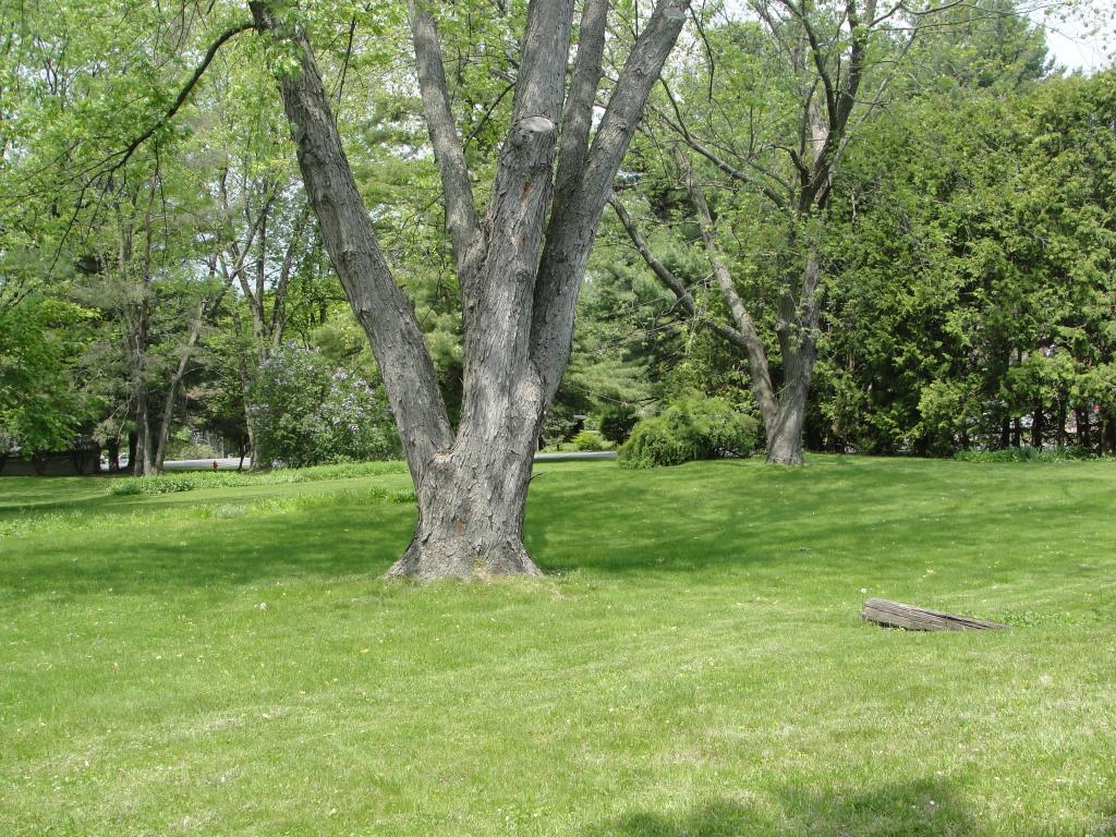 66 Birch Road Shelburne, VT 05482 - Photo 27 of 29 Gallery Image 27