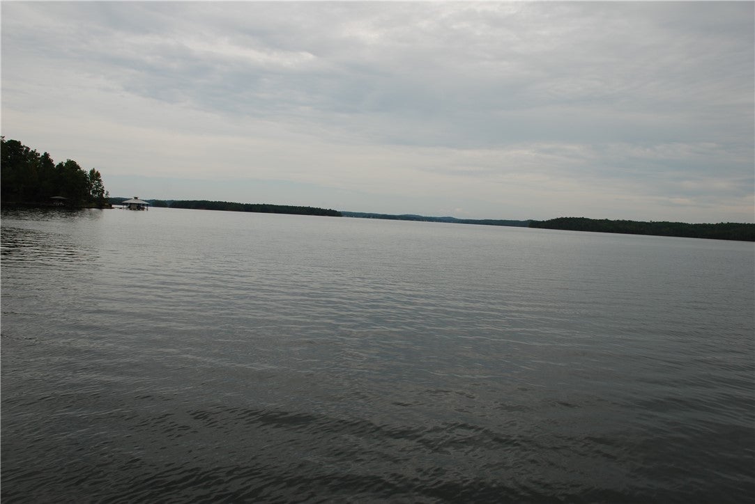15946 Pace's Point Road Dadeville, AL 36853 - Photo 18 of 33 Water And Trees View