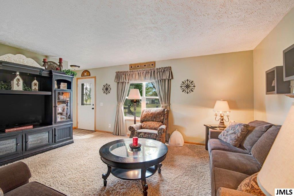 2963 Budd Road Stockbridge, MI 49285 - Photo 3 of 36 Photo 3