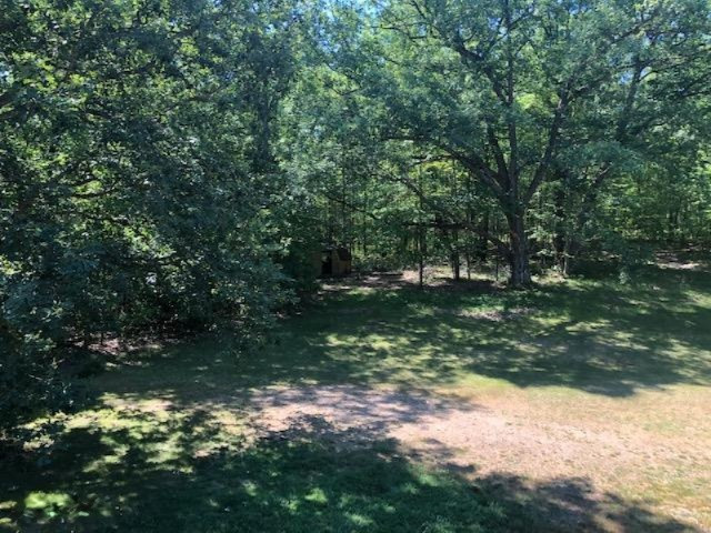 8315 East 8th Street Reed City, MI 49677 - Photo 32 of 32 IMG_7748
