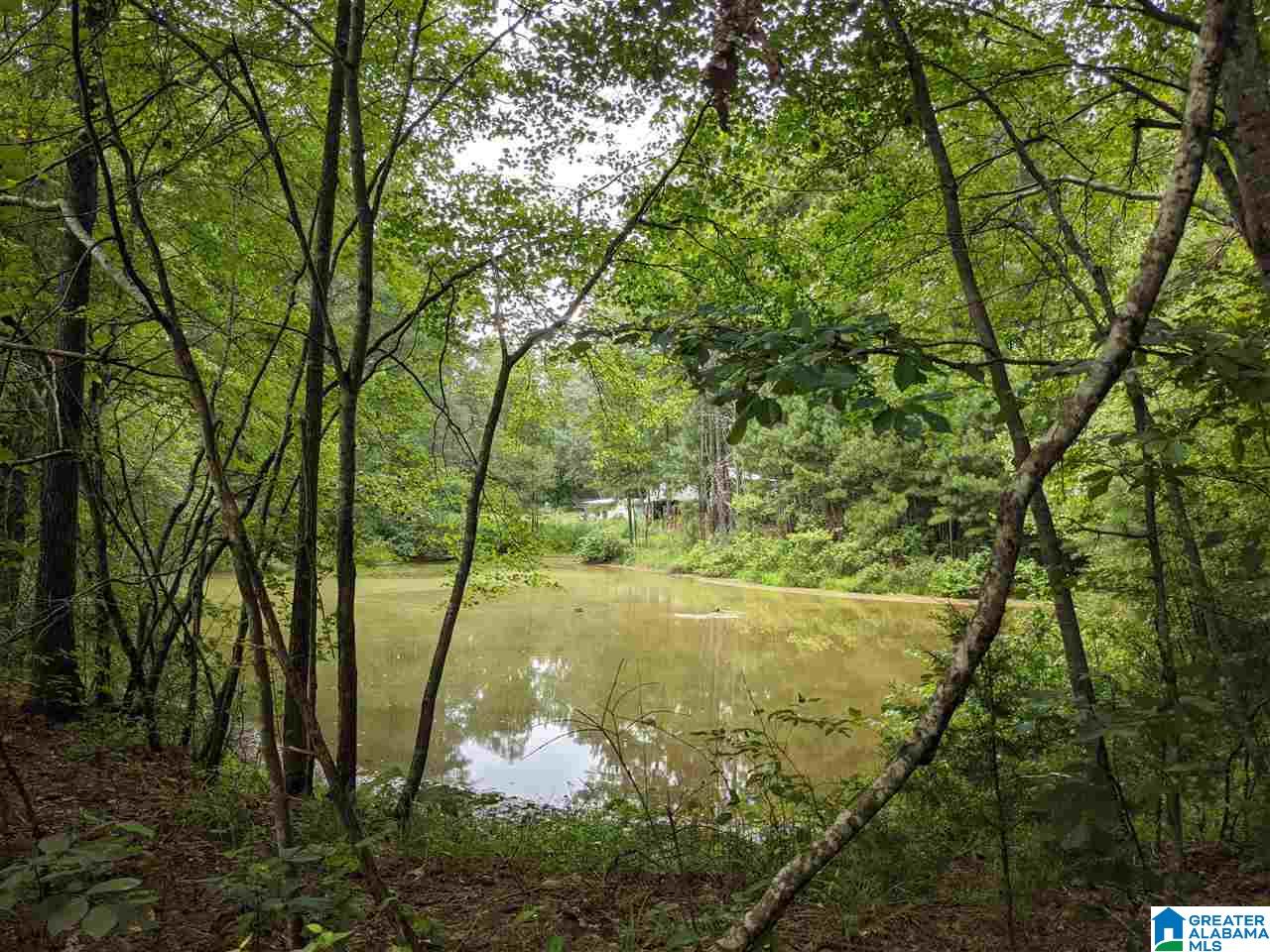 0 Smith Avenue, Unit 3 2 Anniston, AL 36207 - Photo 11 of 43