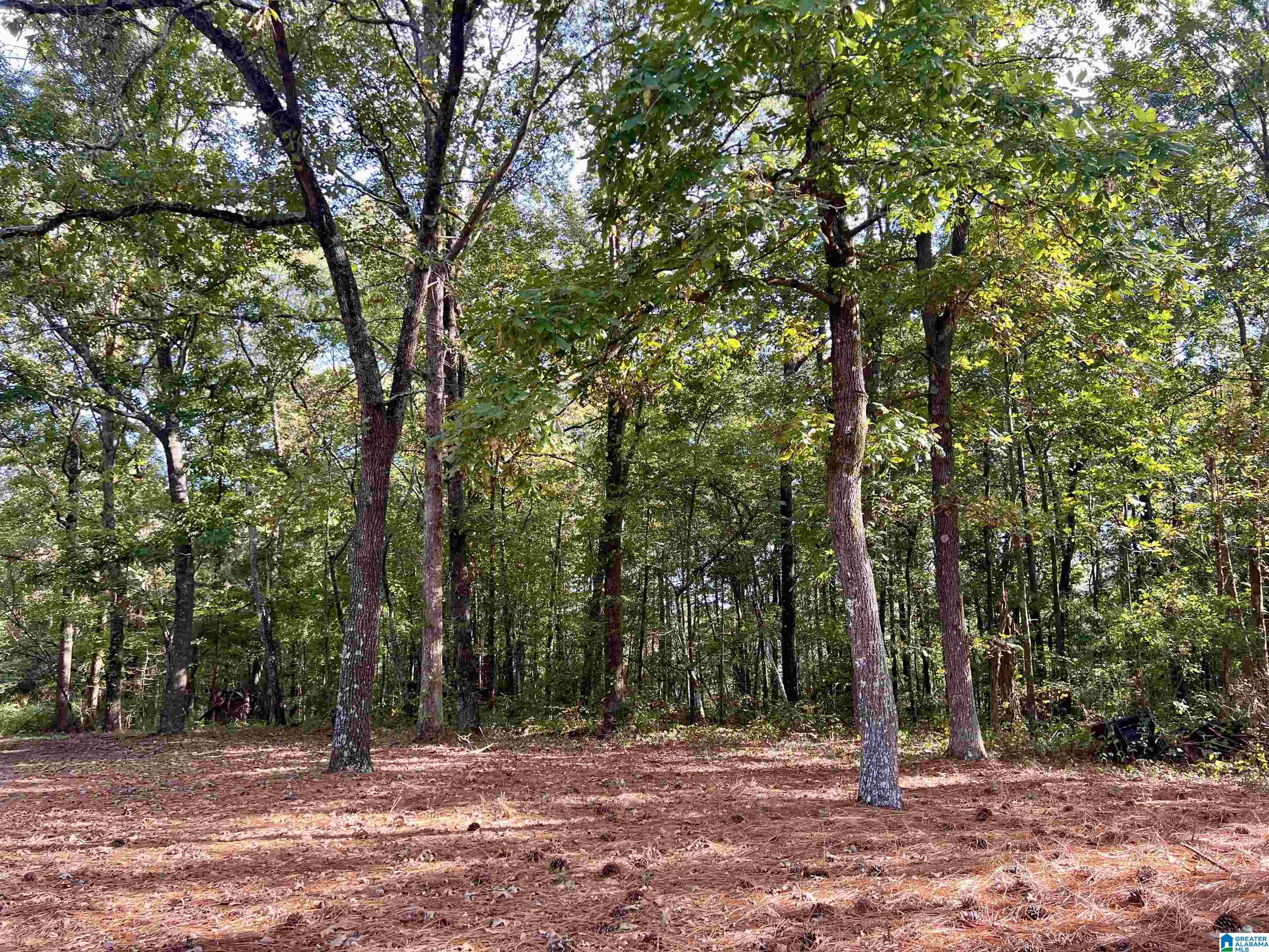 92 County Road 92, Unit LOT 8 Graham, AL 36263 - Photo 3 of 3