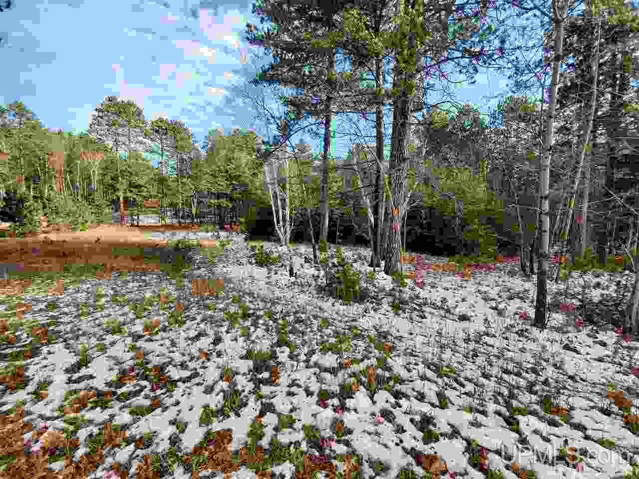 11.64 Acres Co Road Marquette, MI 49855 - Photo 1 of 8