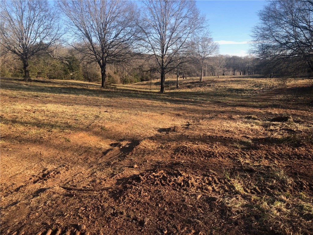 0 184th Highway Iva, SC 29655 - Photo 2 of 6