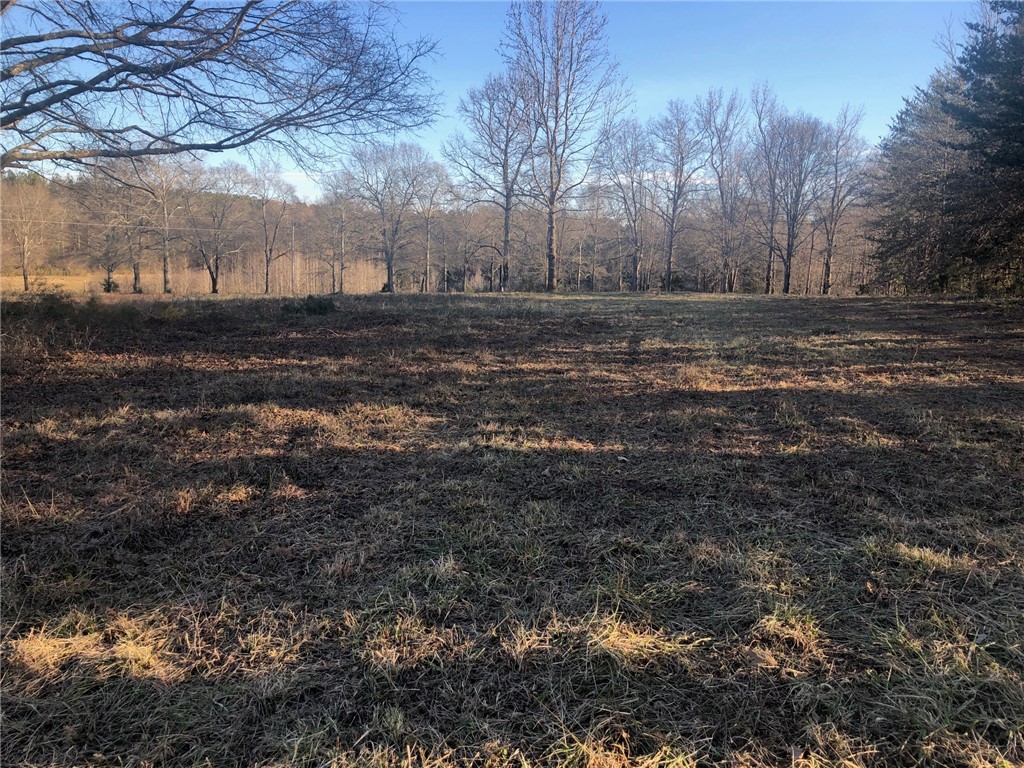 0 184th Highway Iva, SC 29655 - Photo 3 of 6