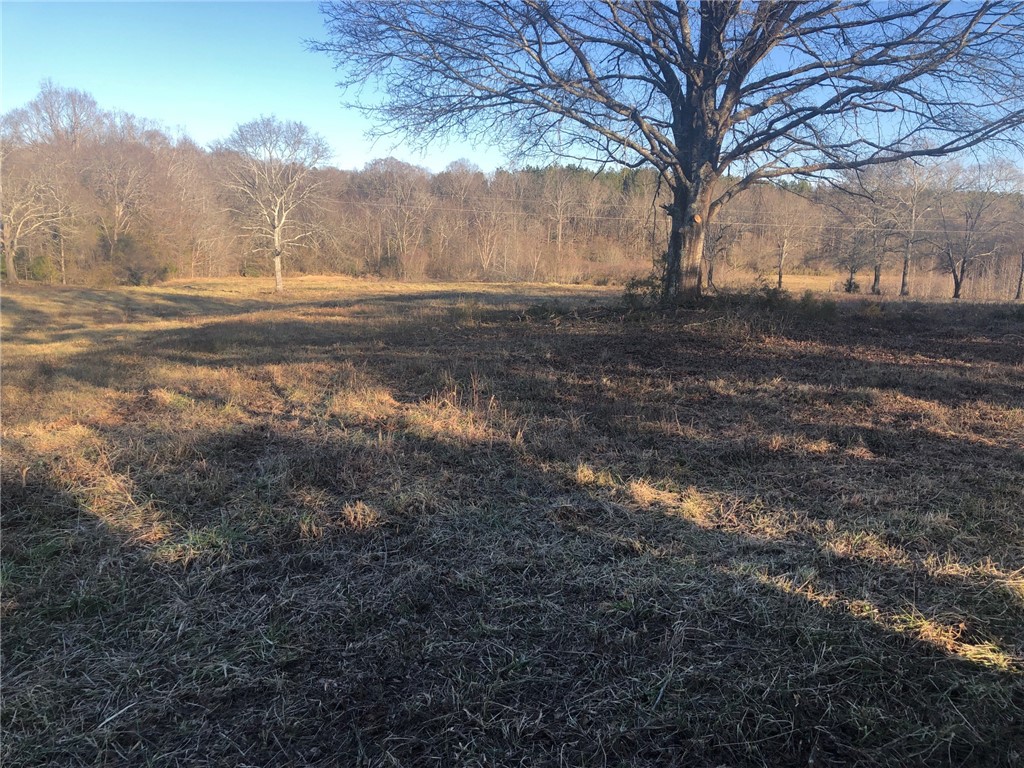 0 184th Highway Iva, SC 29655 - Photo 4 of 6