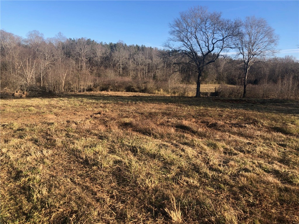 0 184th Highway Iva, SC 29655 - Photo 5 of 6