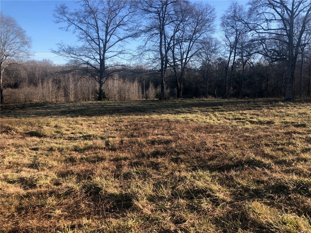 0 184th Highway Iva, SC 29655 - Photo 6 of 6