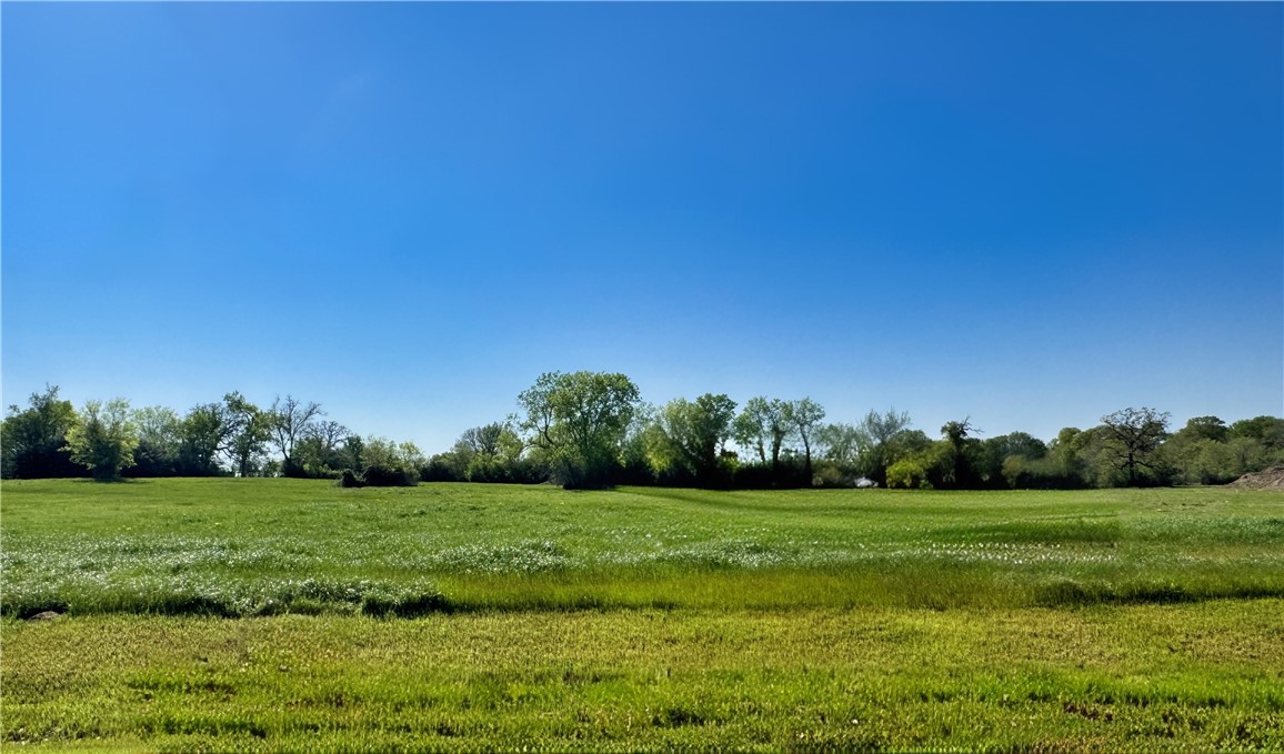 a view of a grassy field with trees in the background