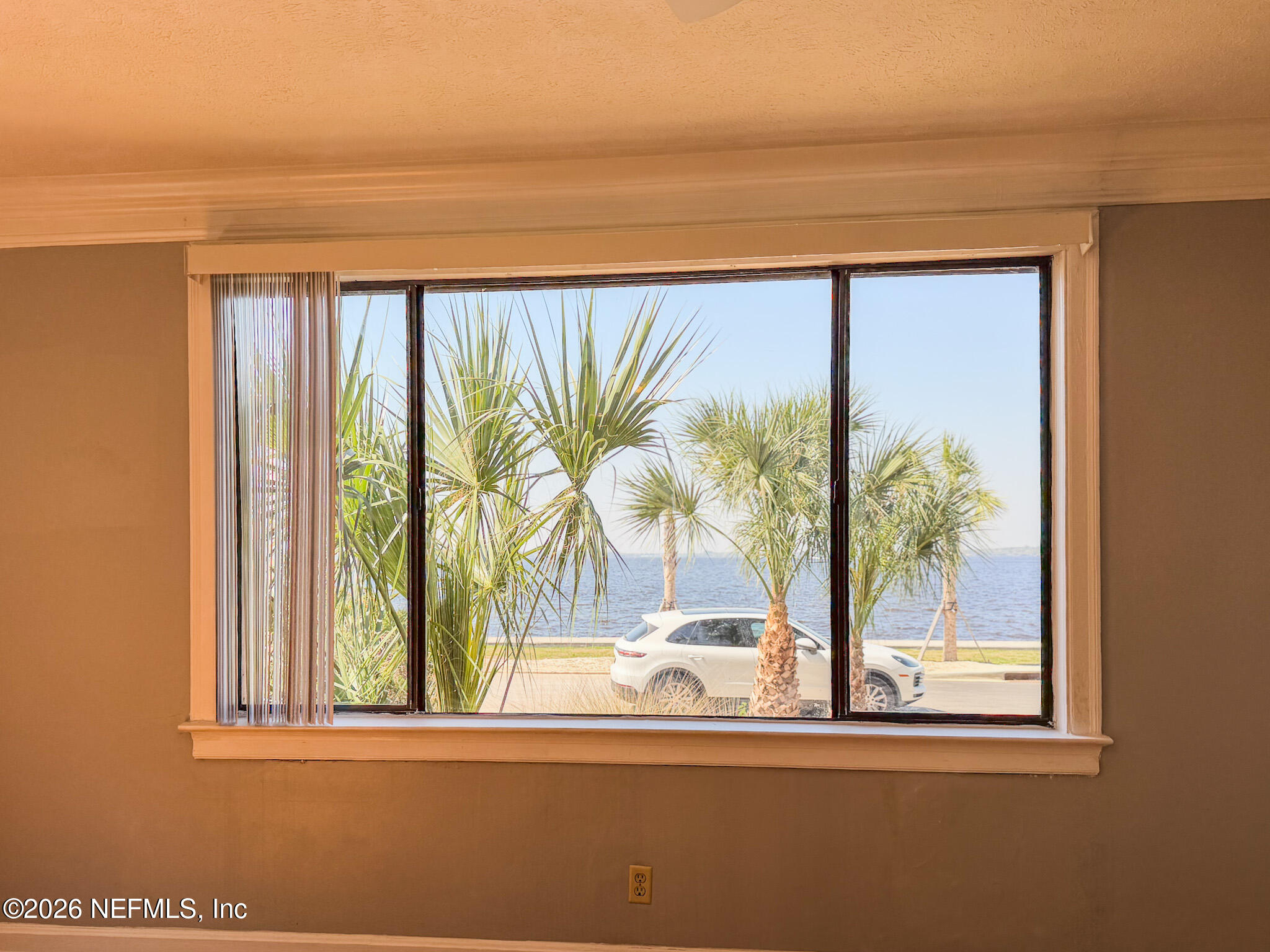 1733 River Road, Unit 2 Jacksonville, FL 32207 - Photo 2 of 16 IMG_7043 (1)