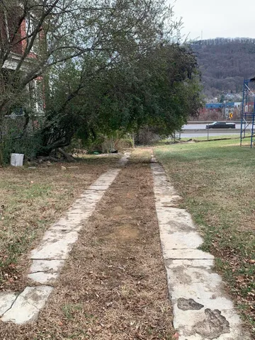 a view of a yard with an trees