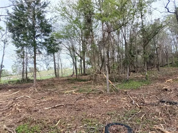 $55,900 | 301 2nd Street, Annapolis, MO 63620
