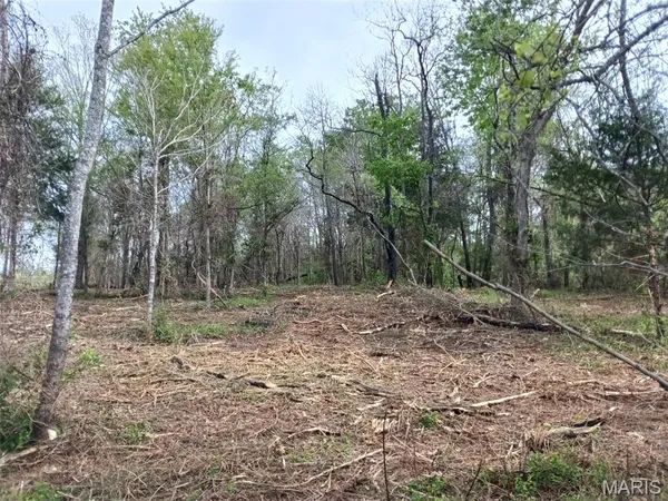 $55,900 | 301 2nd Street, Annapolis, MO 63620