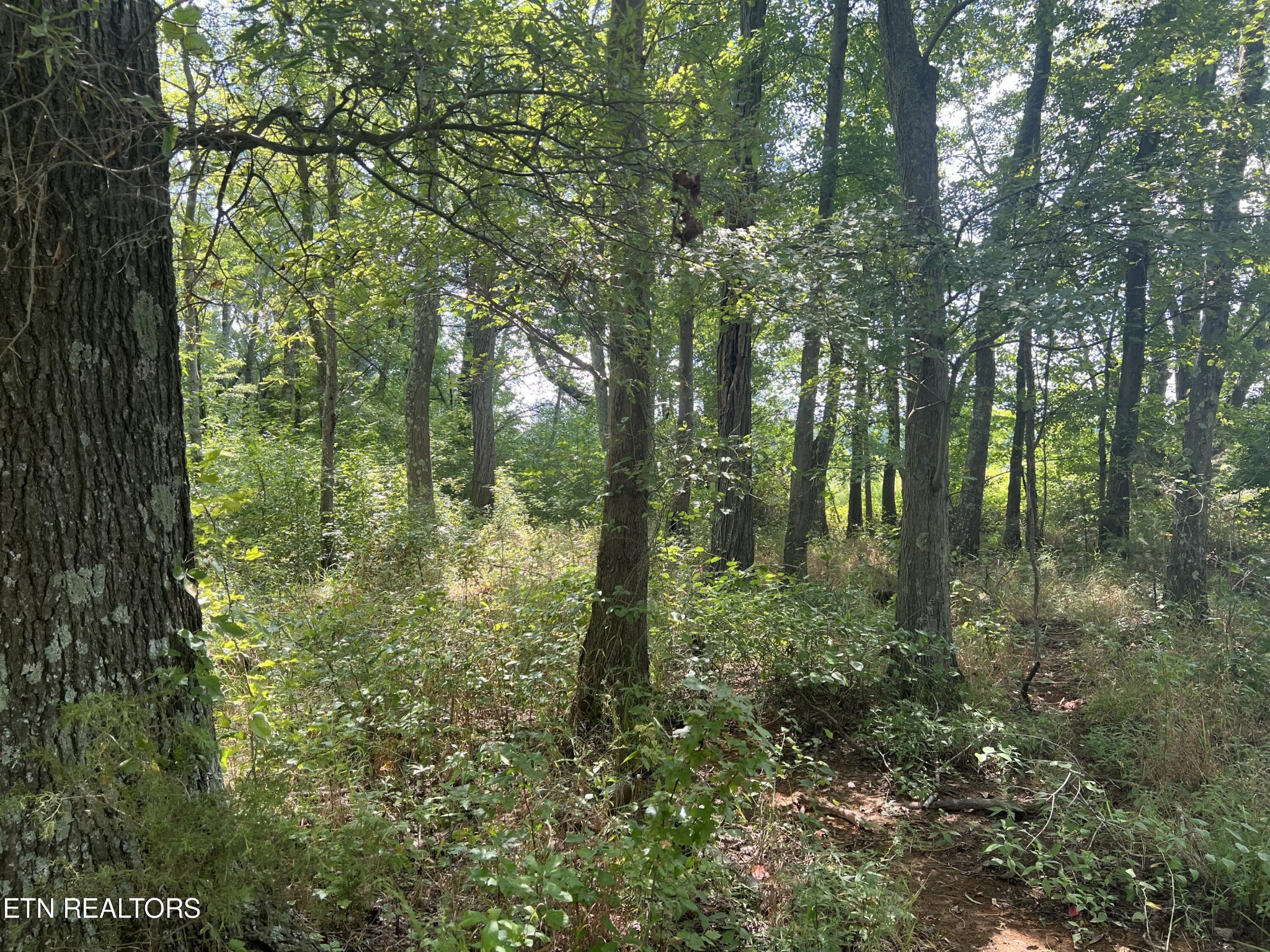 1002 Gum Springs Mountain Road Walling, TN 38587 - Photo 29 of 36 Gallery Image 29