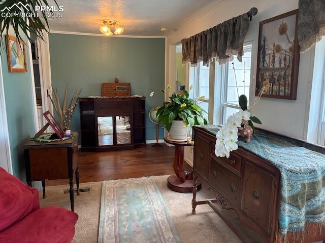 8201 Old San Isabel Road Rye, CO 81069 - Photo 20 of 30 Sitting room with dark wood-style flooring, ornamental molding, and a textured ceiling