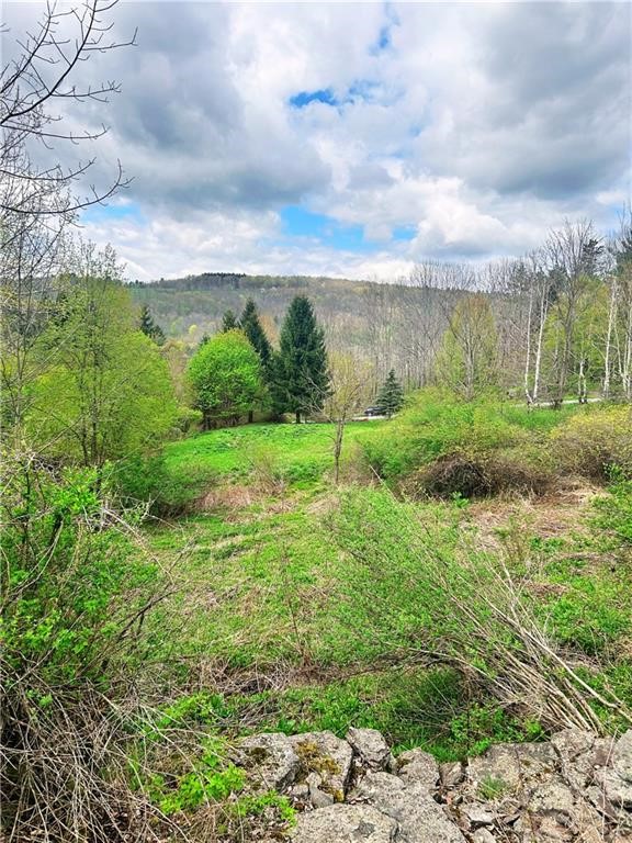 Sisson Hill Road Unadilla, NY 13849 - Photo 12 of 13 Gallery Image 12