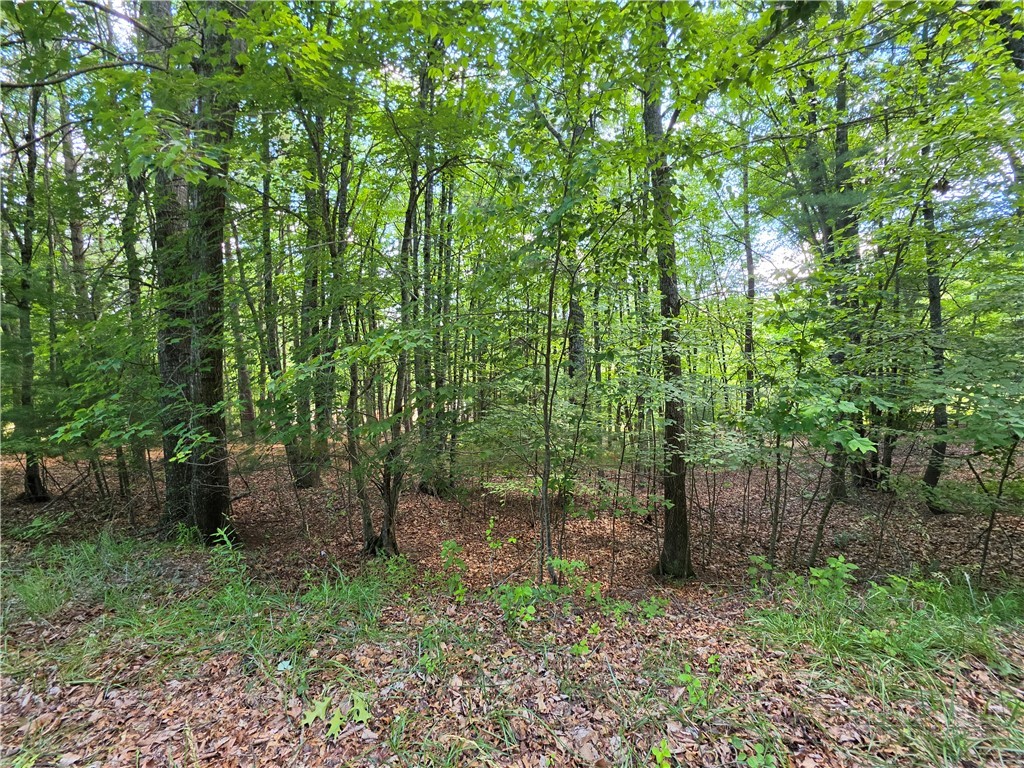 Lot 51 Toms Knob Road, Unit 1 51 Sparta, NC 28675 - Photo 4 of 5