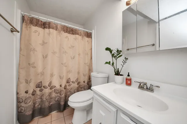 a bathroom with a sink a toilet and a shower curtain