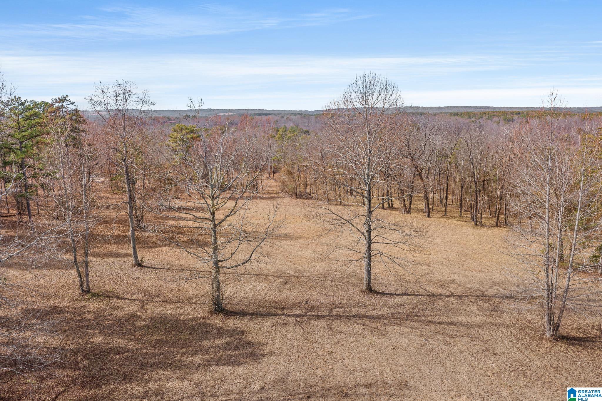 575 Mountain View Lane Springville, AL 35146 - Photo 76 of 84