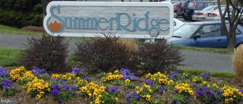 11743 Summerchase Circle, Unit B Reston, VA 20194 - Photo 23 of 25 SummerRidge community with Reston HOA Amenities
