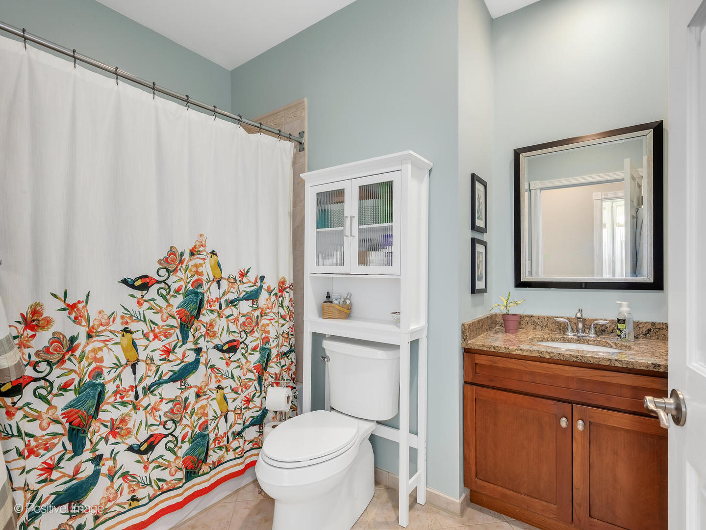 1607 East Indiana Street Wheaton, IL 60187 - Photo 22 of 31 a bathroom with a sink toilet and shower