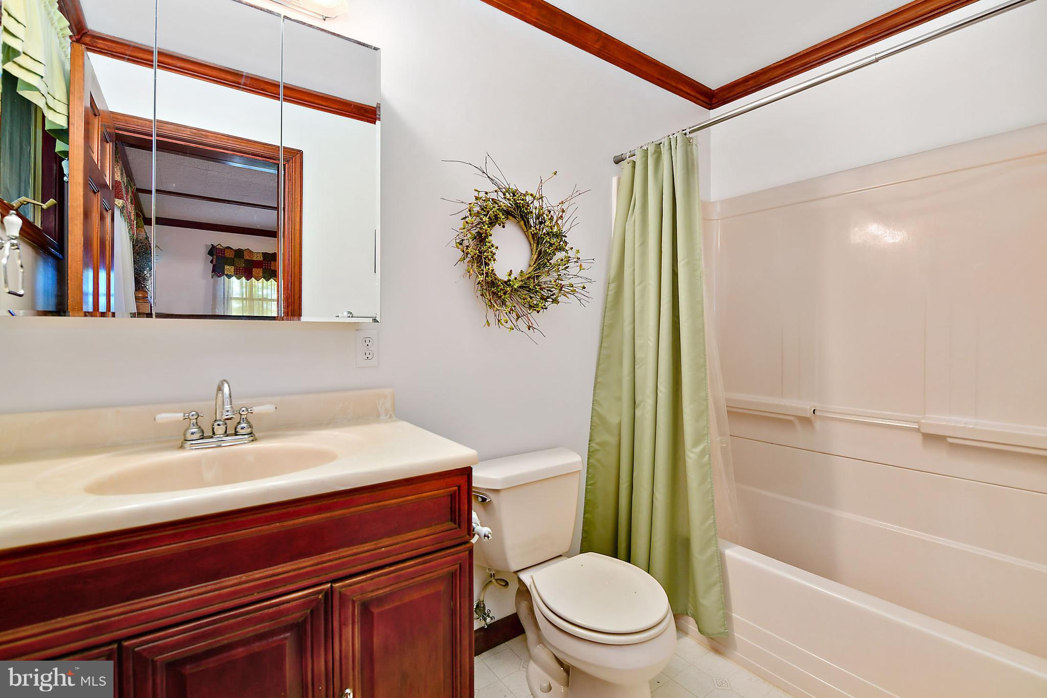 9108 Ebenezer Road Whaleyville, MD 21872 - Photo 22 of 32 Master Bath