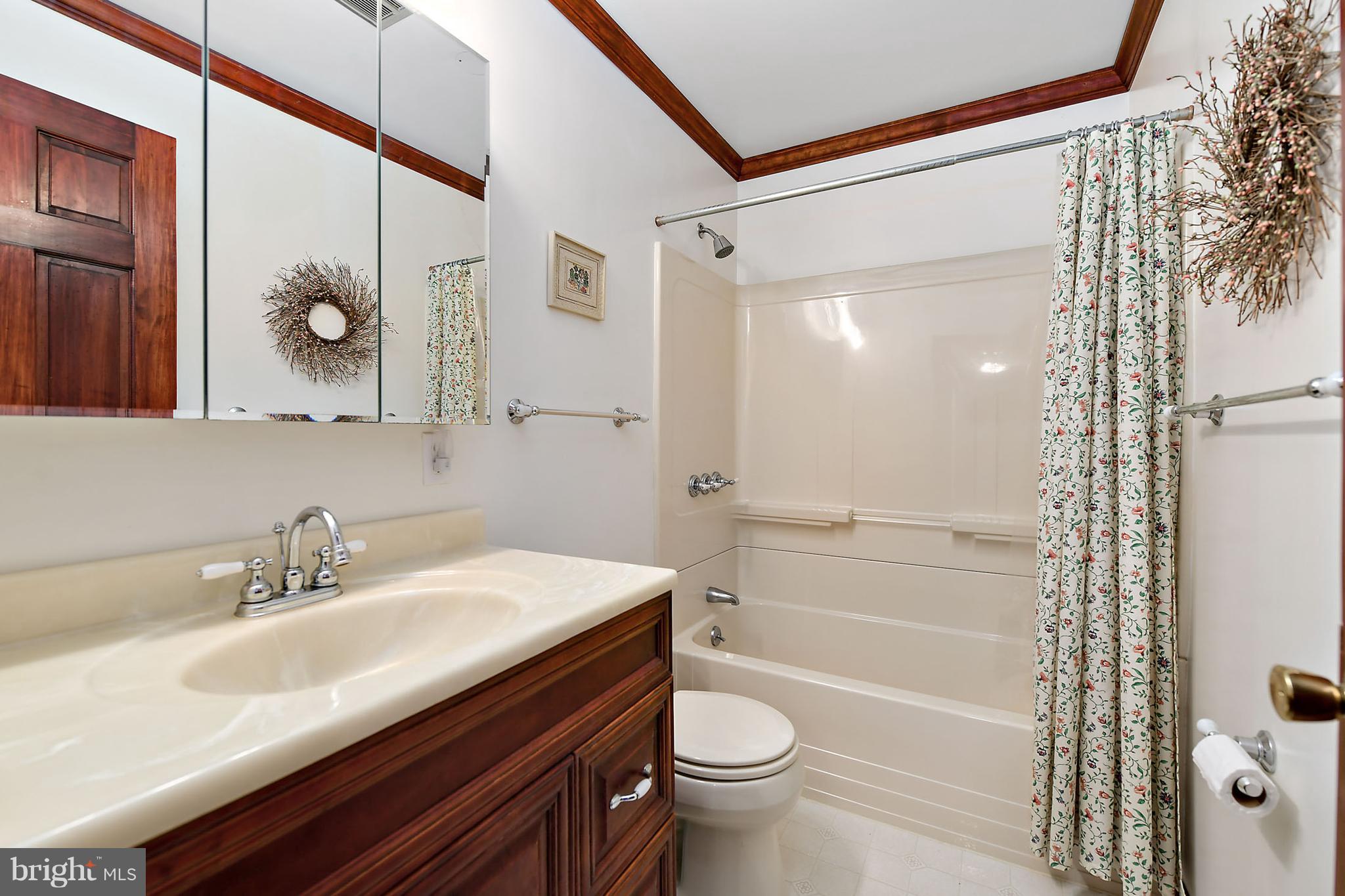 9108 Ebenezer Road Whaleyville, MD 21872 - Photo 10 of 32 Guest Bath