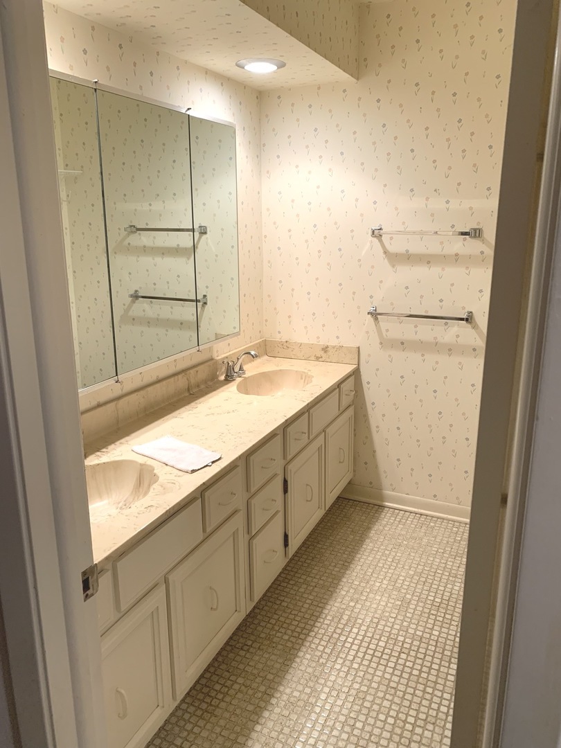 2210 Banbury Road Inverness, IL 60067 - Photo 17 of 41 a bathroom with a sink and a mirror