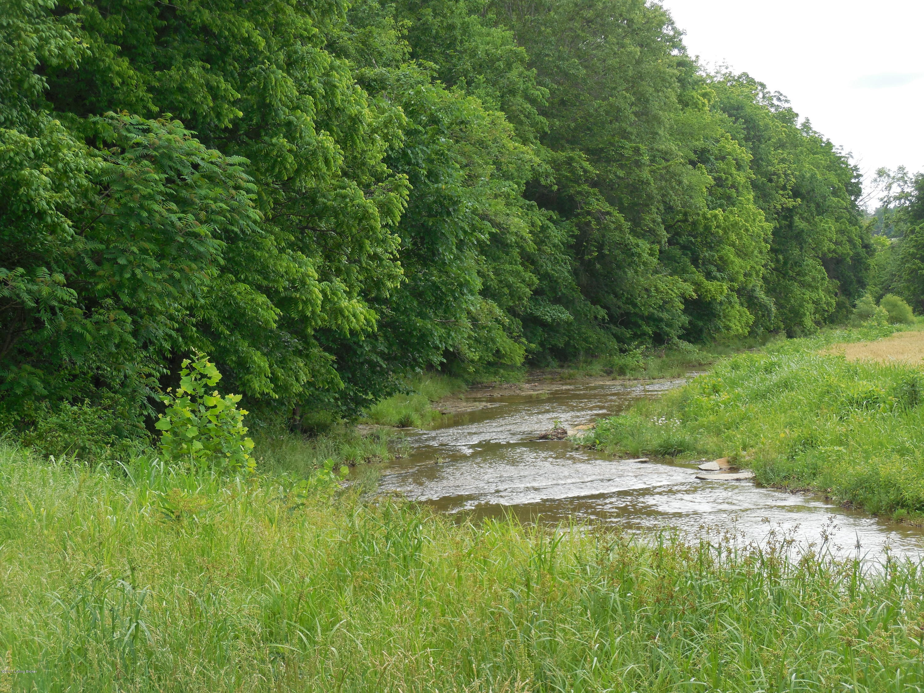 198 Tarter Road Columbia, KY 42728 - Photo 5 of 21 028