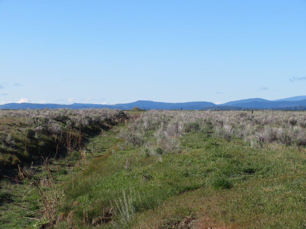 Nka Modoc Point Road, Unit PARCEL 2119 20 ACRES Chiloquin, OR 97624 - Photo 9 of 32 m29