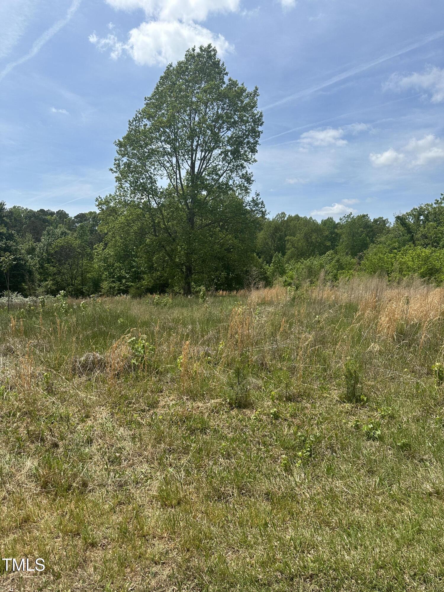 66-56 Allie Clay Road Roxboro, NC 27573 - Photo 3 of 4 a view of a lake with houses in the back