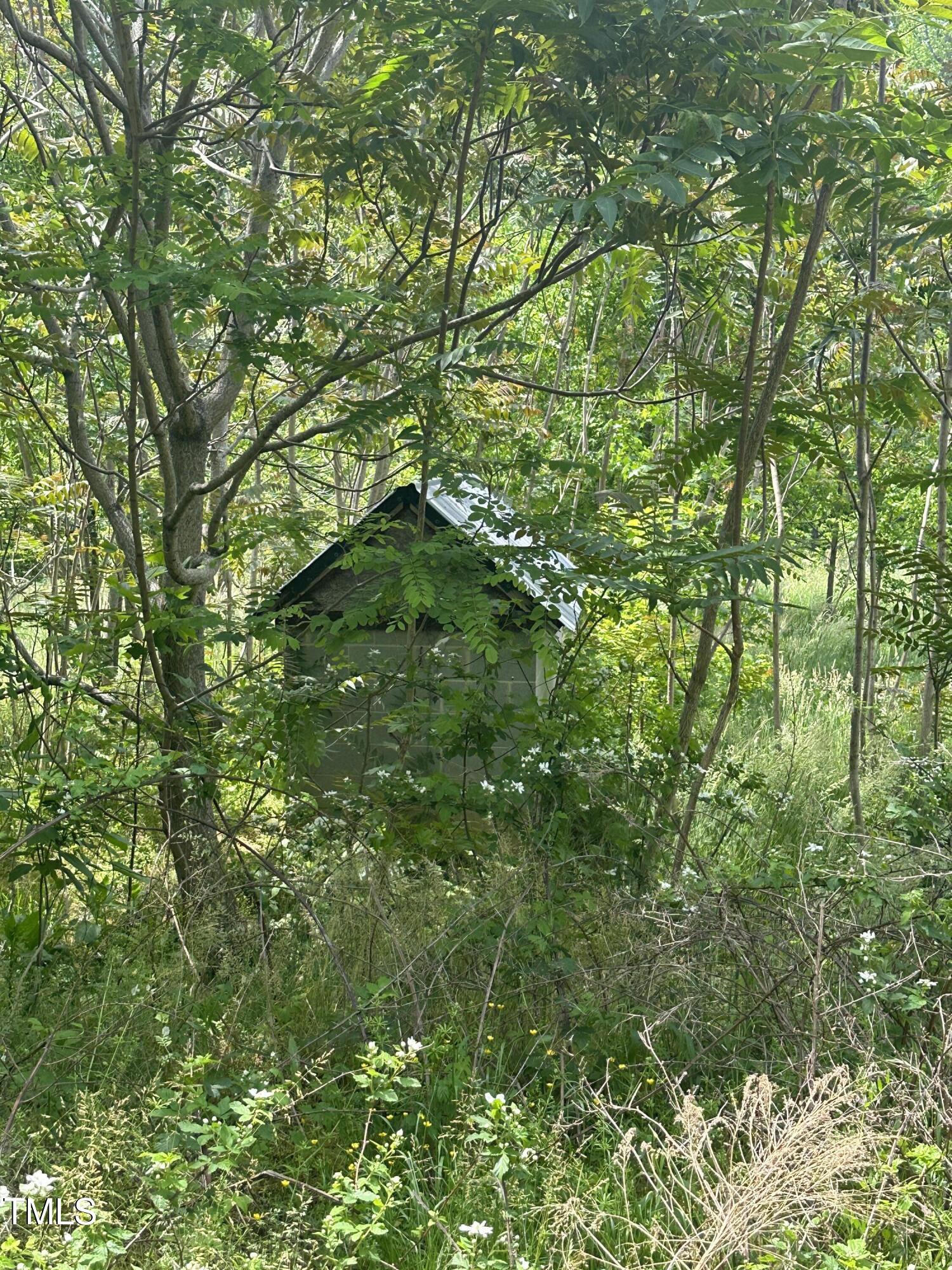 66-56 Allie Clay Road Roxboro, NC 27573 - Photo 4 of 4 a view of a lush green forest