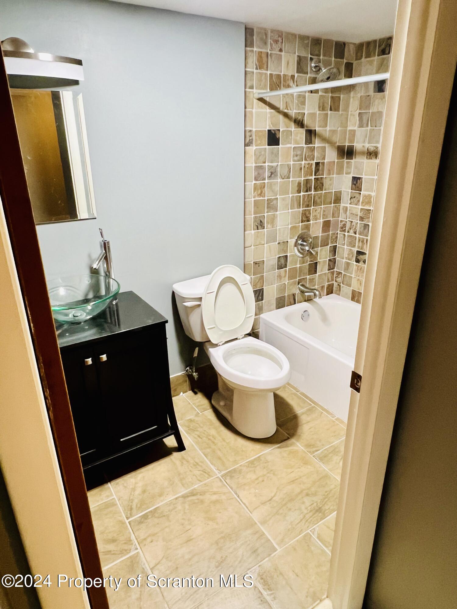 220 Linden Street, Unit 208 Scranton, PA 18503 - Photo 11 of 24 a bathroom with a sink and a mirror