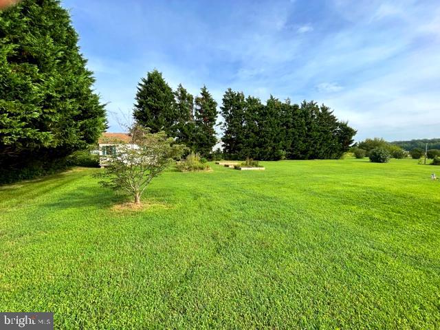 449 Watson Road Centreville, MD 21617 - Photo 14 of 64 Gallery Image 14